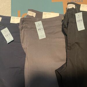 Loft The Skinny pants